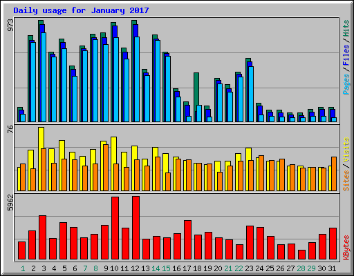 Daily usage for January 2017