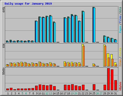 Daily usage for January 2019