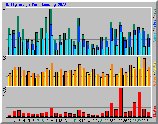 Daily usage for January 2023