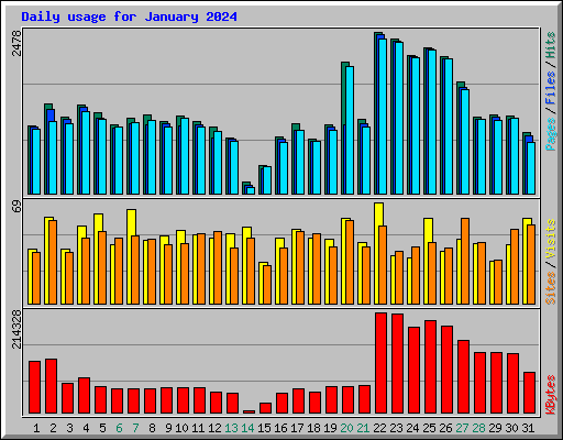 Daily usage for January 2024