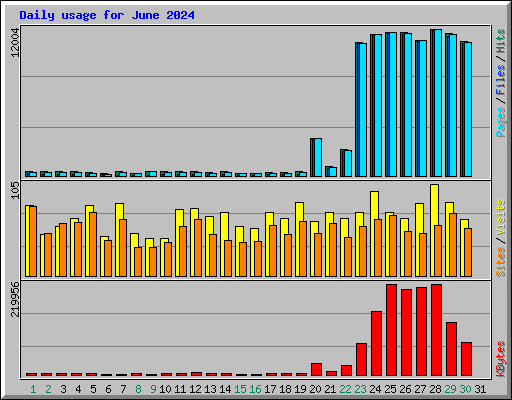 Daily usage for June 2024