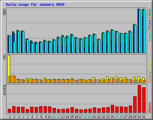 Daily usage for January 2025
