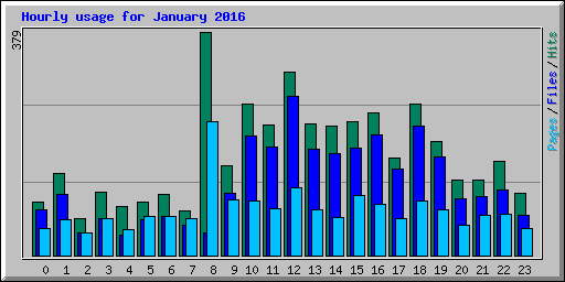 Hourly usage for January 2016