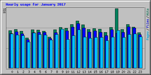 Hourly usage for January 2017