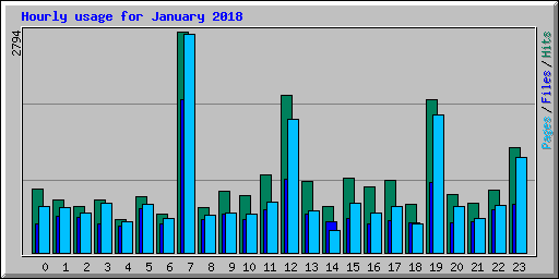 Hourly usage for January 2018