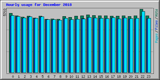 Hourly usage for December 2018