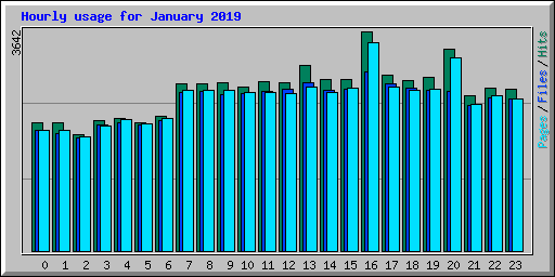 Hourly usage for January 2019