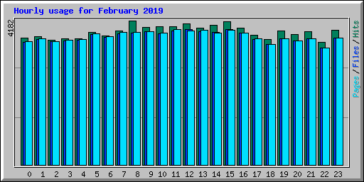 Hourly usage for February 2019