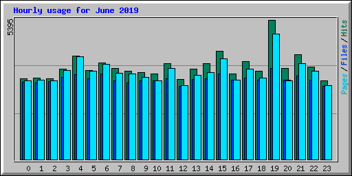 Hourly usage for June 2019