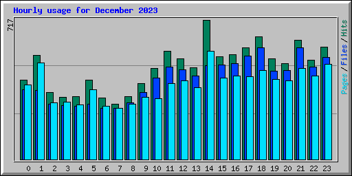 Hourly usage for December 2023
