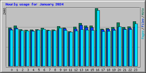 Hourly usage for January 2024