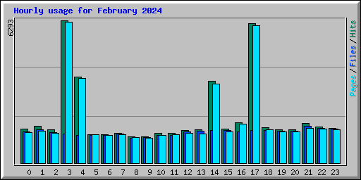 Hourly usage for February 2024