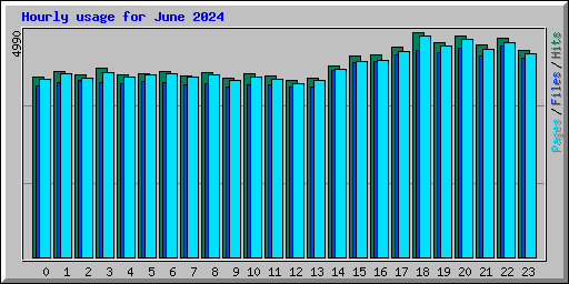 Hourly usage for June 2024