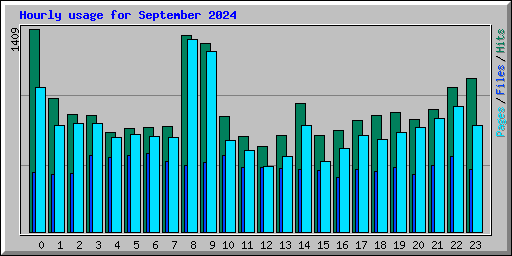 Hourly usage for September 2024