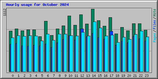 Hourly usage for October 2024