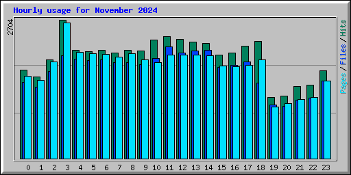 Hourly usage for November 2024