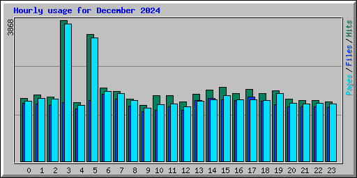 Hourly usage for December 2024