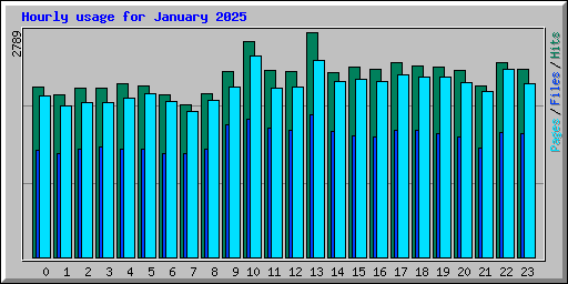 Hourly usage for January 2025