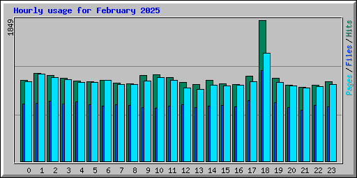 Hourly usage for February 2025