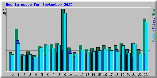 Hourly usage for September 2025