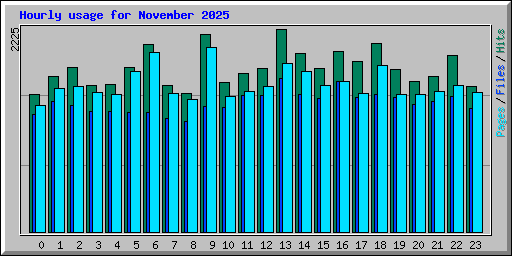 Hourly usage for November 2025