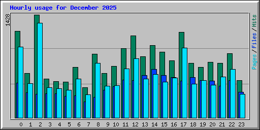 Hourly usage for December 2025