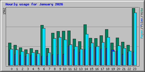 Hourly usage for January 2026