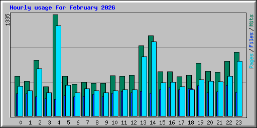 Hourly usage for February 2026