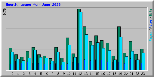 Hourly usage for June 2026