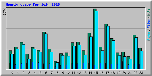 Hourly usage for July 2026